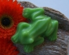 Cheeky Frog Cheeky Frog