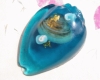 Triton's Life Shell